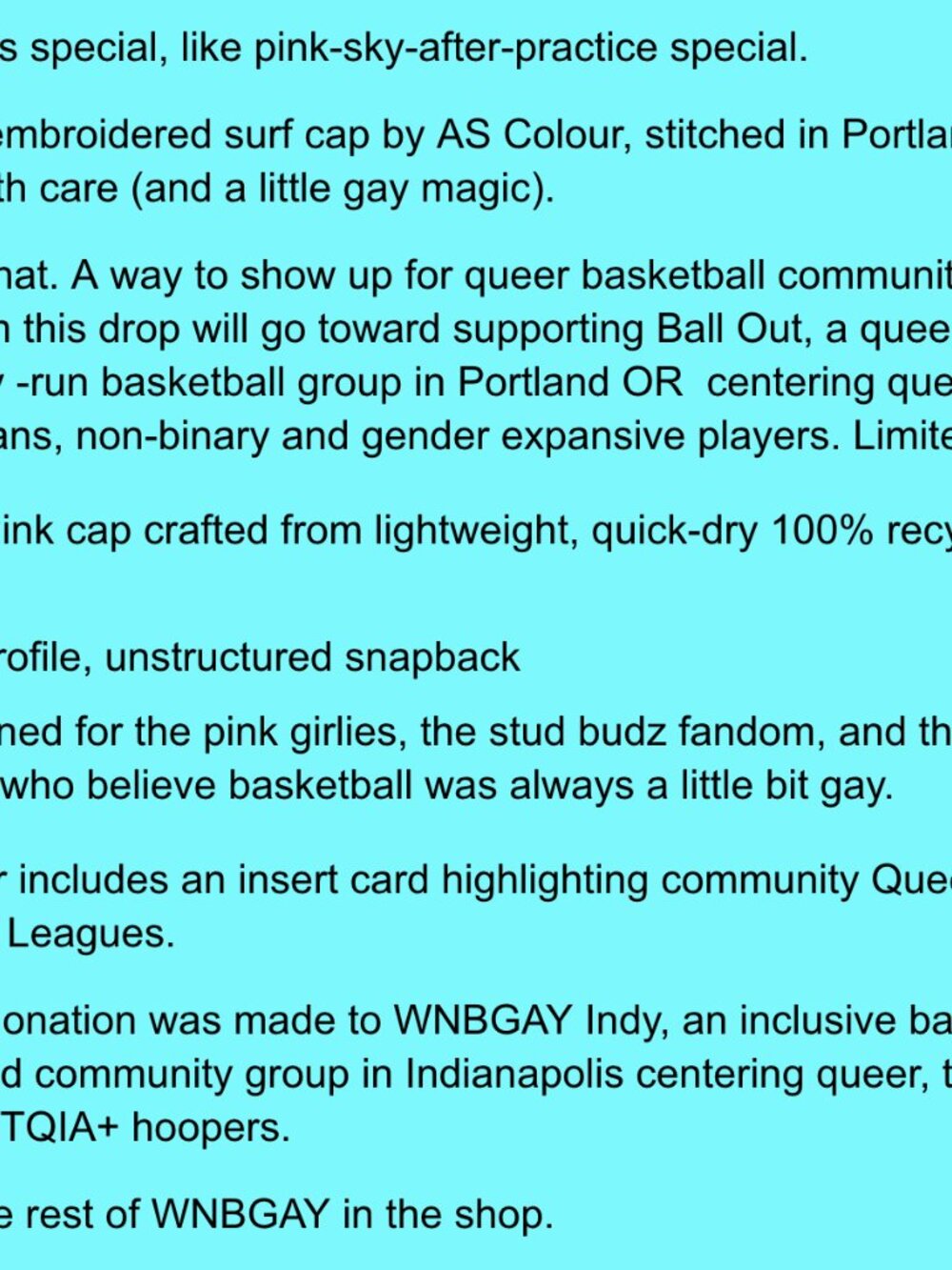 Pink WNBGAY hat - Picture 7 of 7